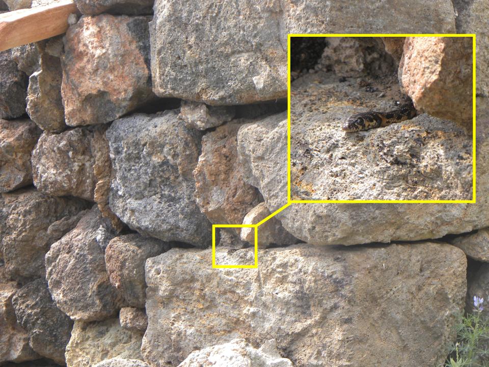 quiz - cosa cela quel muro?